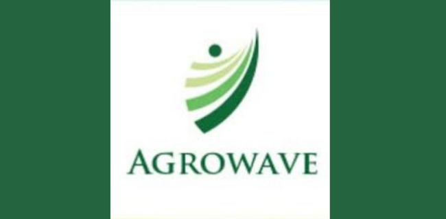 कैसे एग्रोवेव एक फार्म-टू-मार्केट व्यवसाय का निर्माण कर रहा है