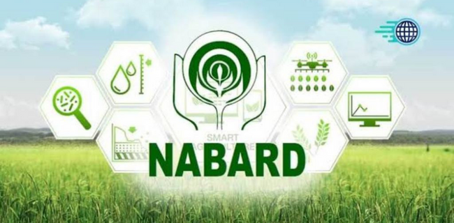 Institutional Sources of Agricultural Finance in India