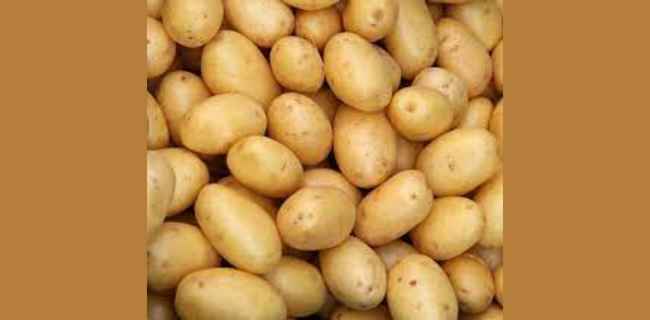 आलू की फसल की पूर्ण जानकारी
