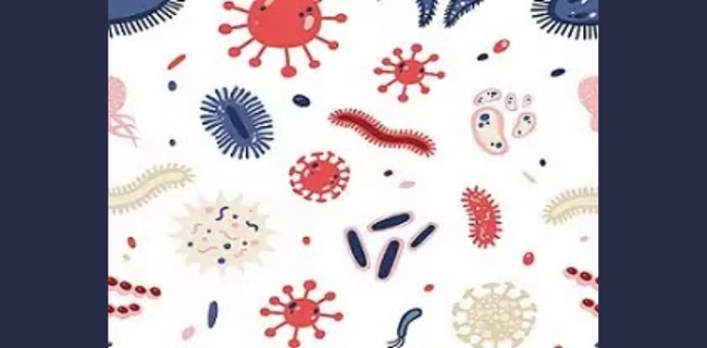 सूक्ष्म जीव