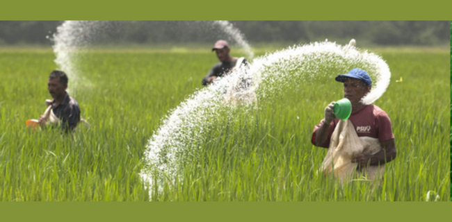 जौ की फसल में उर्वरक प्रबंधन