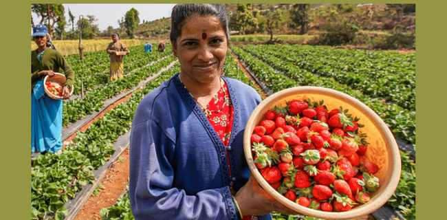 After improving the livelihood of 45,000 women farmers, Walmart Foundation will now give Rs 16 crore to 60 FPOs