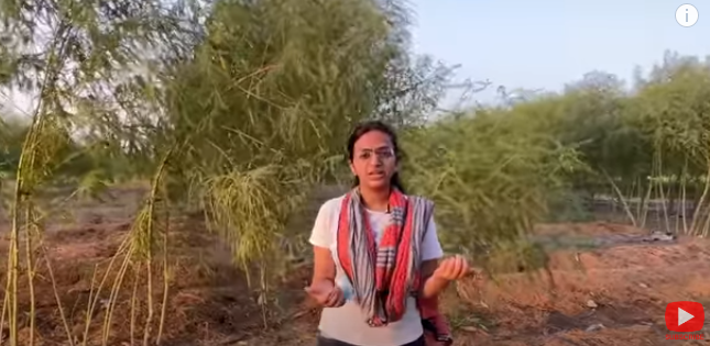 गोबर से खाद बनाकर ये लड़की हर महीने कमाती है लाखों (वर्मी कंपोस्ट बिजनेस)