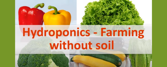 7 लाभदायक कृषि और खेती व्यवसाय विचार – कम लागत, अधिक मुनाफ़ा !