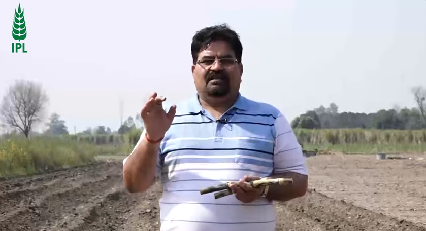 गन्‍ने की बुवाई करते समय याद रखने योग्य अहम् बातें | डॉ. यू. एस. तेवतिया | इंडियन पोटाश लिमिटेड