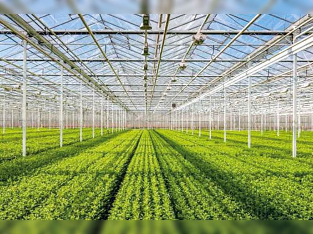 सतत कृषि तकनीक