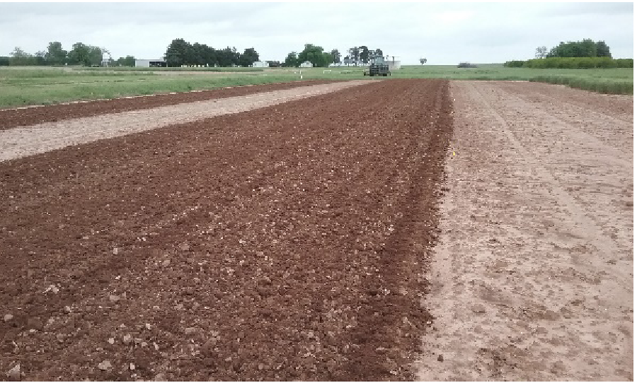 भिंडी फसल अंकुरण से पहले