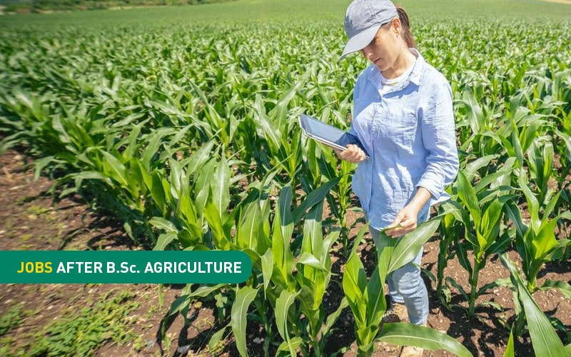 How to build career in Agriculture