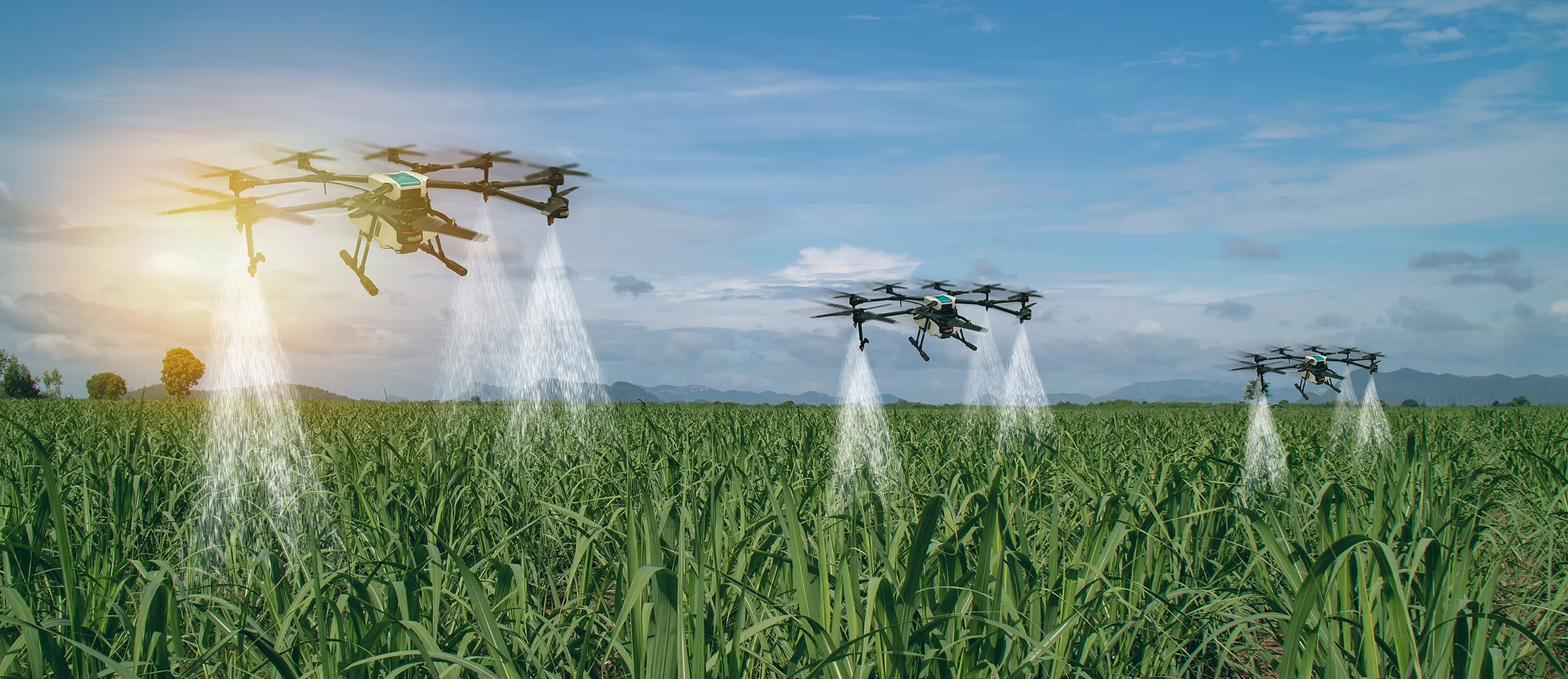 What AgriTech Drone Startups want?