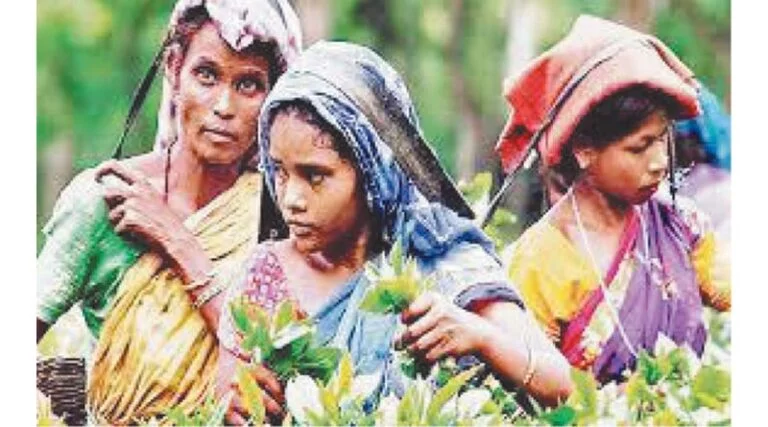 कृषि जैव विविधता का संरक्षण