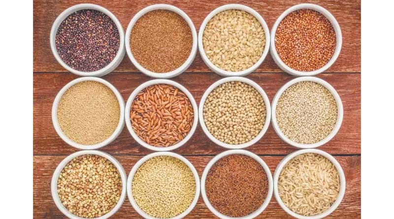 श्री अन्न योजना से मिलेगी आर्थिक और स्वास्थ्य सुरक्षा