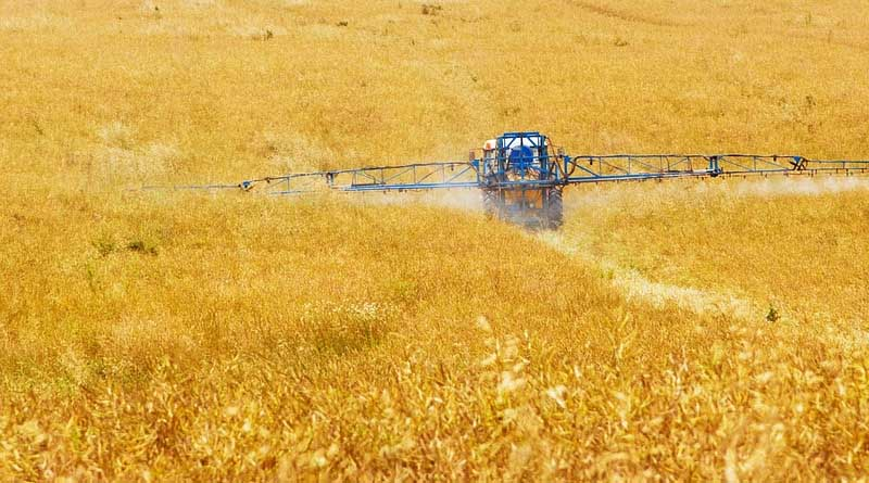 Punjab government to provide subsidy on purchase of agricultural machinery