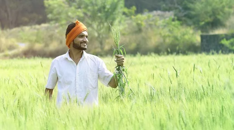 How is the Indian government promoting chemical free Natural Farming