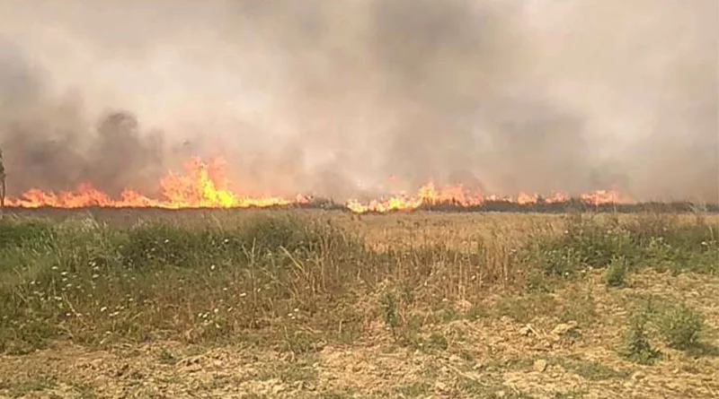 किसान नरवाई का उपयोग जैविक खाद बनाने में करें