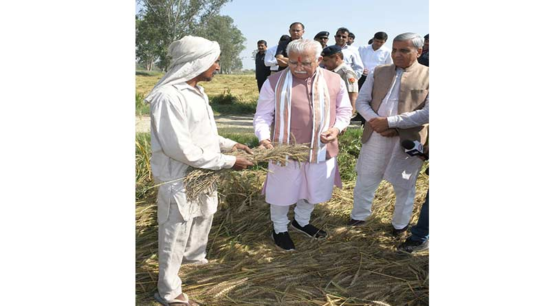 बरसात, ओलावृष्टि से खराब हुई फसलों का किसानों को मई तक मिलेगा मुआवजा