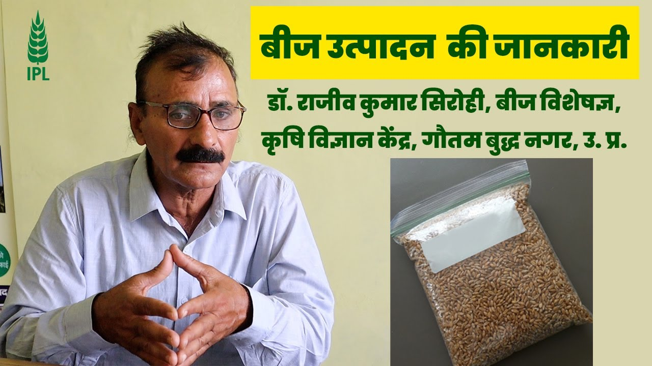 बीज उत्पादन की जानकारी | इंडियन पोटाश लिमिटेड